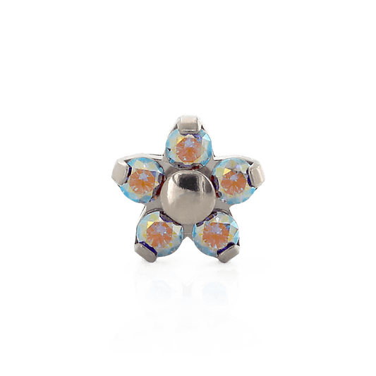 Flower - Aurora Borealis