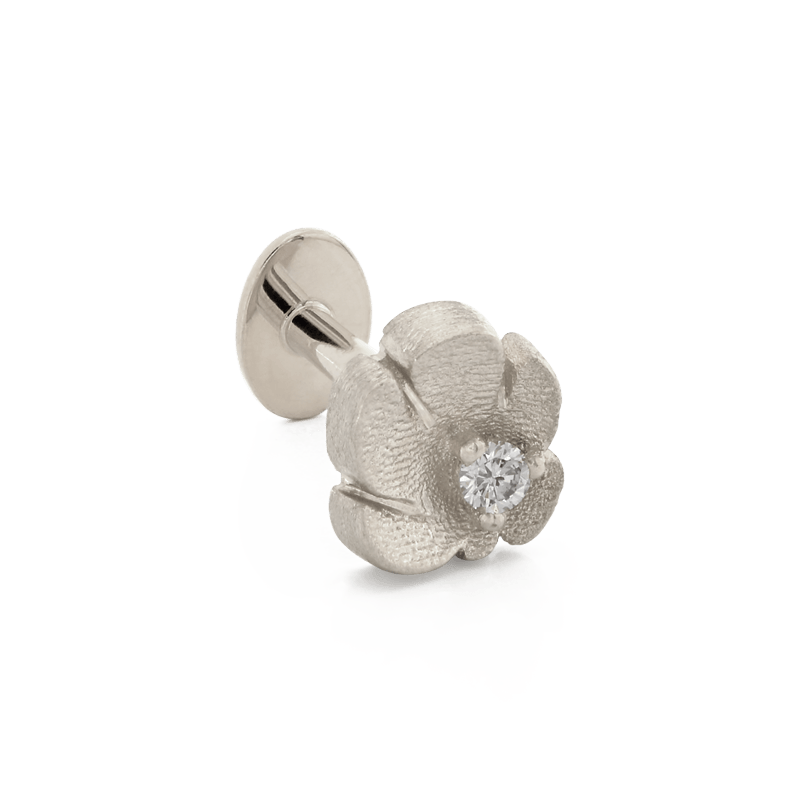 Dandy-_4676-side-Pupil-Hall-