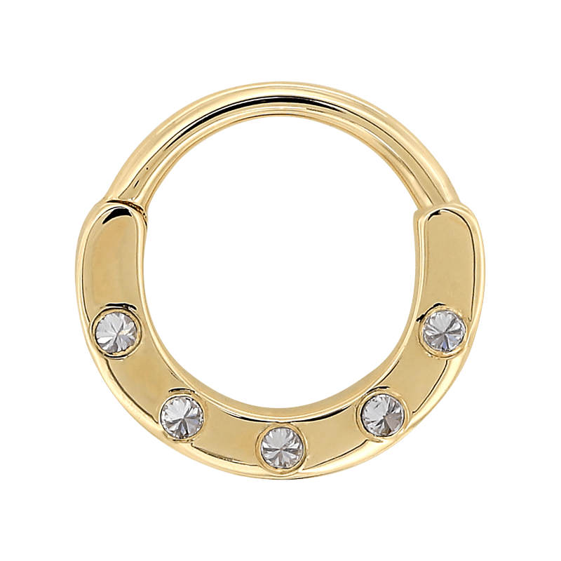 Key Ring Rook Everything You Need to Know About Your Rook Piercing – IRIS Studios