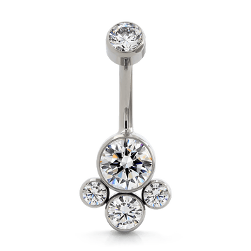 Faceted Cluster Navel Curve