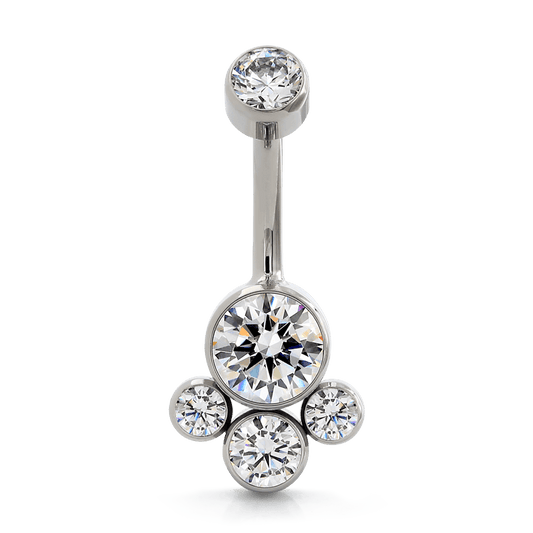 Faceted Cluster Navel Curve