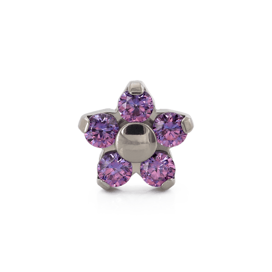 Flower - Fancy Purple