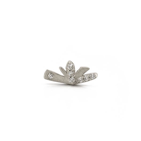 Flutter