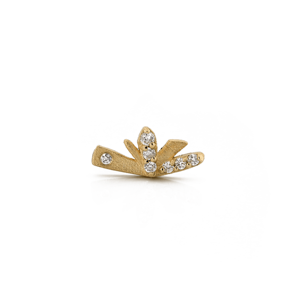 Flutter
