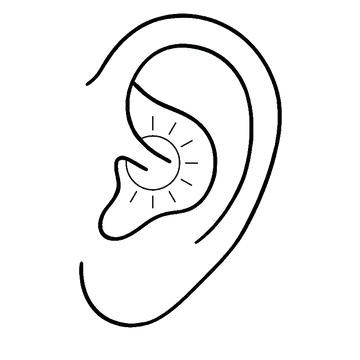 illustration of a daith ear piercing offered at the Portland Oregon IRIS studio shop