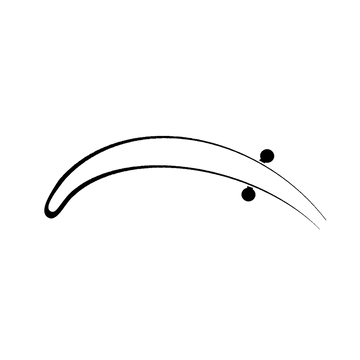illustration of an eyebrow body piercing offered at the Boulder Colorado IRIS piercing shop