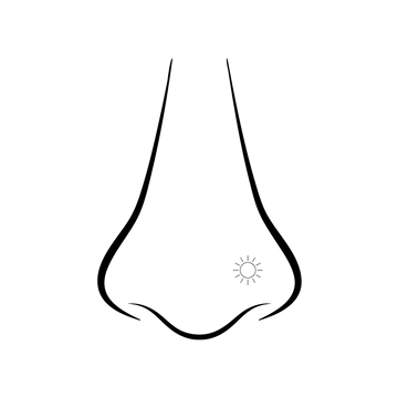 illustration of a nose piercing offered at the Portland Oregon IRIS piercing shop and studio