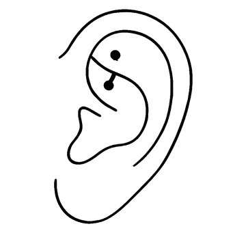 illustration of a rook ear piercing offered at the Boulder Colorado IRIS piercing shop