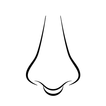 illustration of a septum nose piercing offered at the Portland Oregon IRIS piercing shop and studio