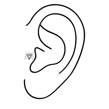 illustration of a tragus ear piercing offered at the Portland Oregon IRIS piercing shop and studio