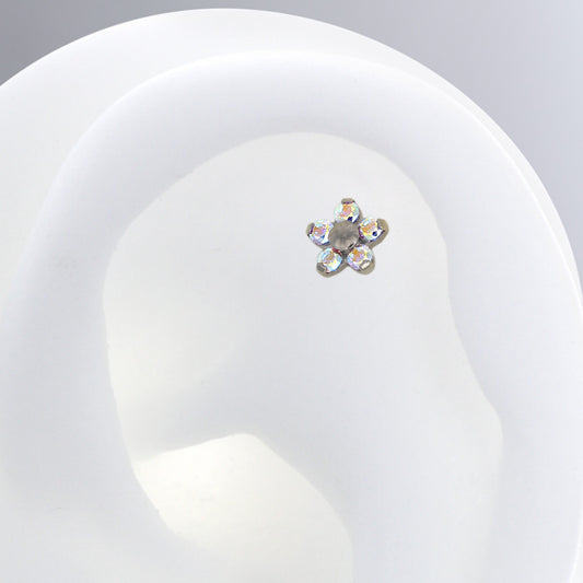 Flower - Aurora Borealis