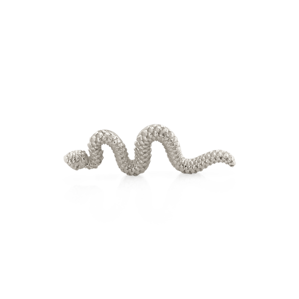 Tiny Delicate Snake