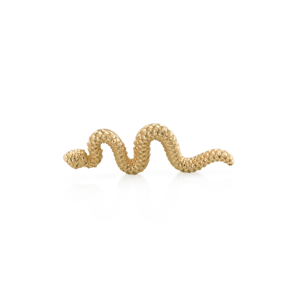 Tiny Delicate Snake