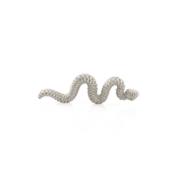 Tiny Delicate Snake