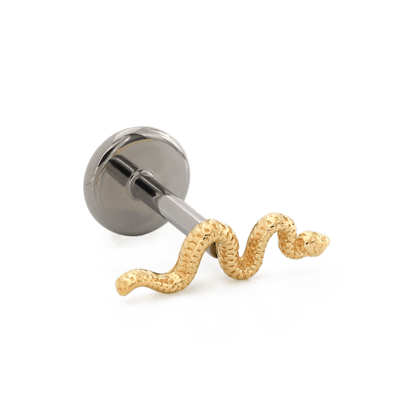 Tiny Delicate Snake