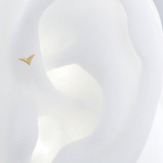 Wings - 18k