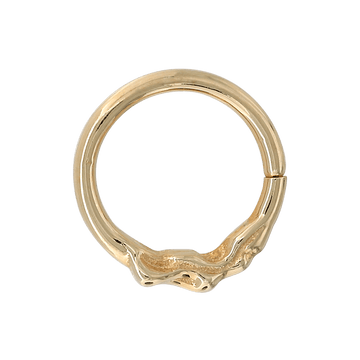 Cause and Effect Seam Ring