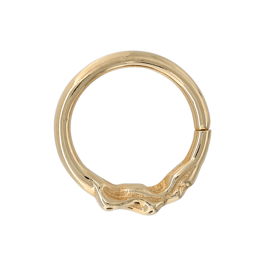 Cause and Effect Seam Ring