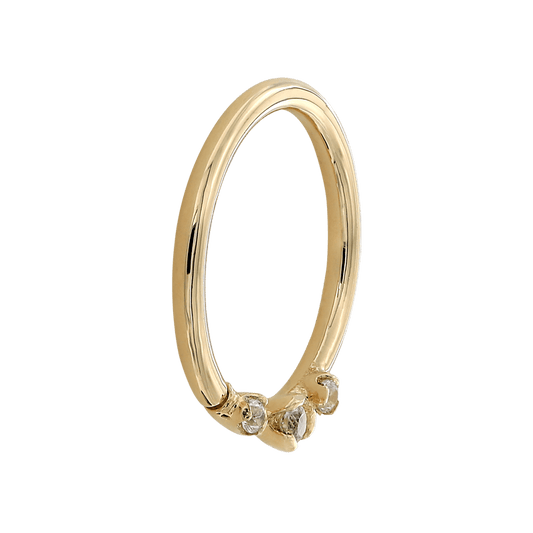 Everythingness Seam Ring - Forward Facing - White Sapphires