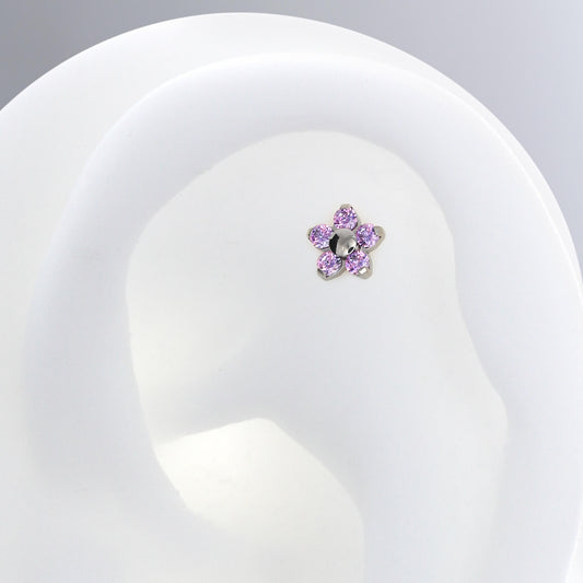 Flower - Fancy Purple