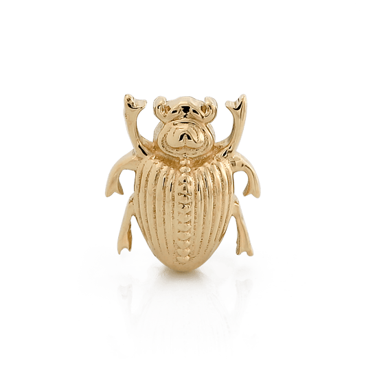Scarab Beetle