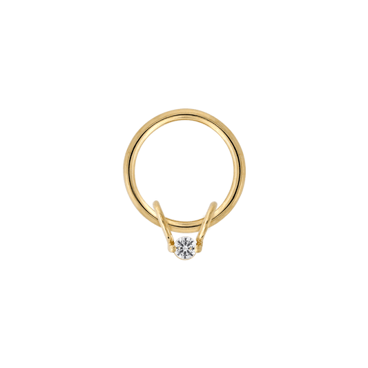 Curious Slip (Slip Only)