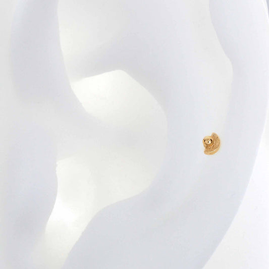 Half Full with Dottie