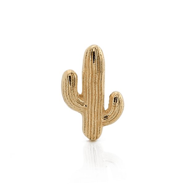 Mini Sonora Cactus